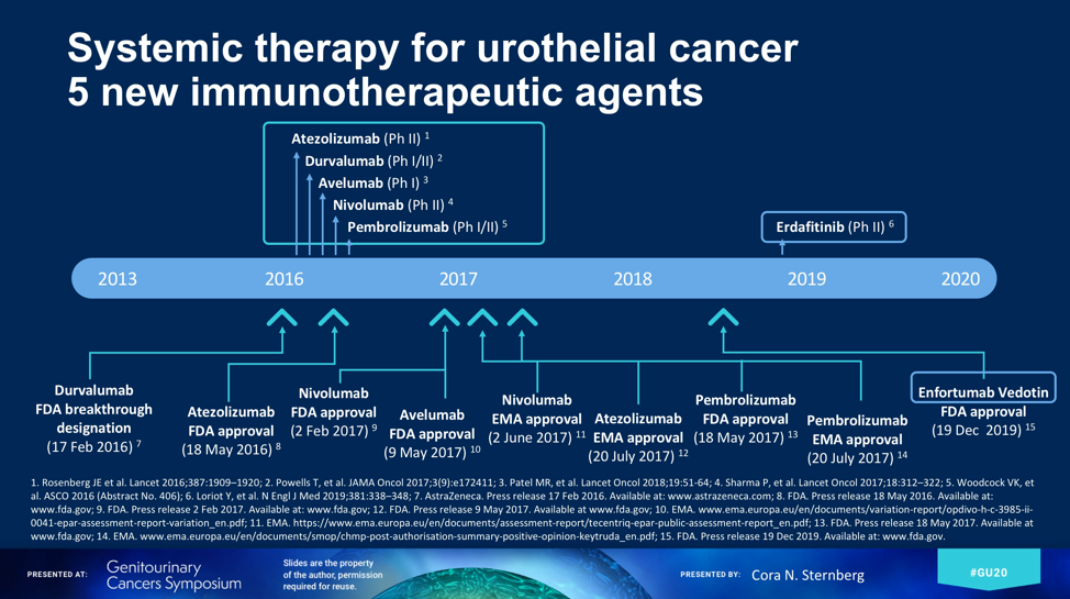 systemic_therapy_cora_sternberg.png