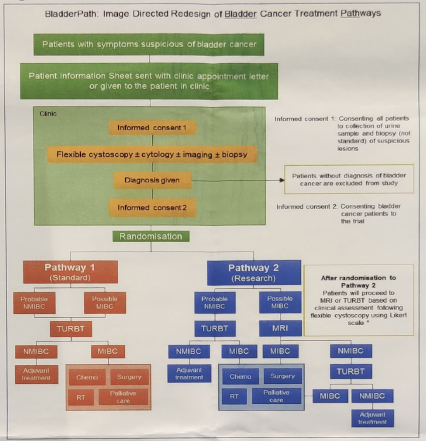 trial schema